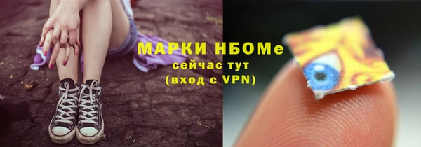 PSILOCYBIN Алзамай